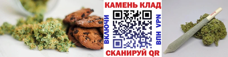 даркнет сайт  MEGA как войти  Cannafood марихуана  Сунжа 
