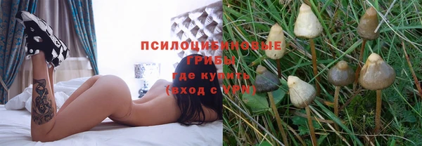 экстази Алексин