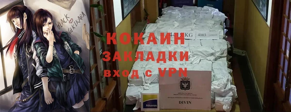гидропоника Алзамай