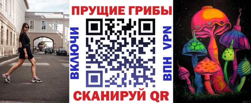 мега маркетплейс  Сунжа  Псилоцибиновые грибы прущие грибы 