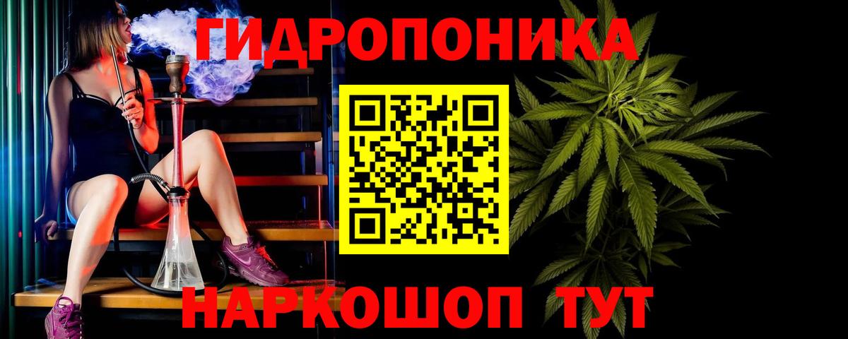 Бошки Шишки гибрид Сунжа